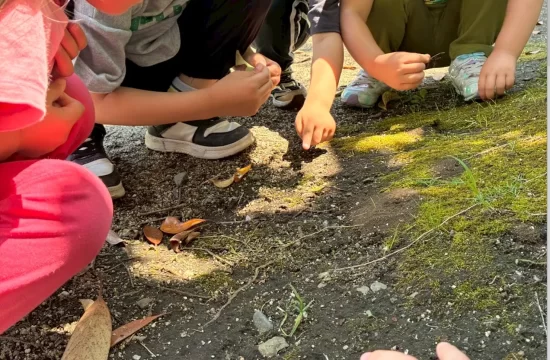 スクリーンショット 2026-04-03 18.17.28